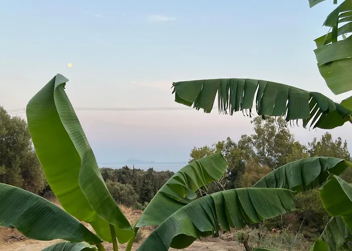 Casa vacanze Mediterranean Ratzakli *